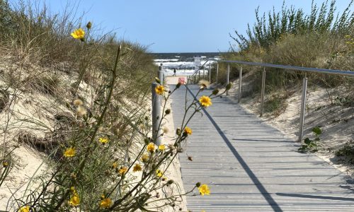 Usedom 2027