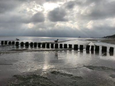 Usedom Strand am Abend