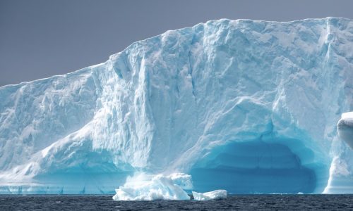 Antarktis Hurtigruten Eisberg Cuverville Island