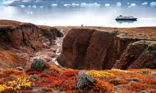 Ostgrönland 2026 Rypenæs