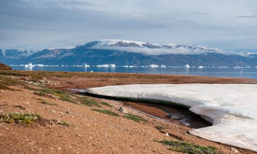 Ostgrönland 2026 Gebiet „Harefjord“