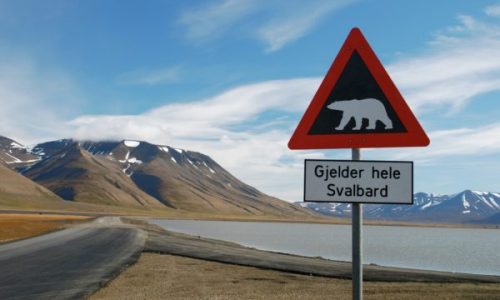 Spitzbergen Svalbard Schild mit Eisbär