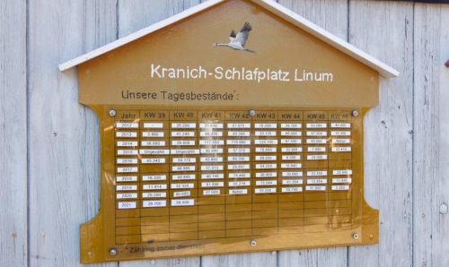 Havelland 2026 Linum Storchenschmiede