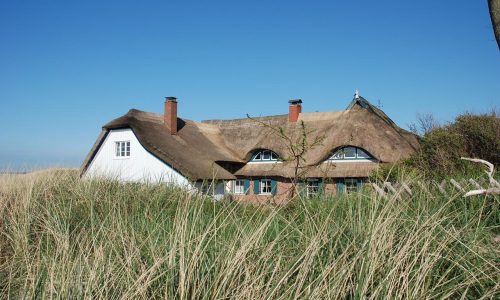 Boddenküste Darß Kraniche 2023 Reetdach-Häuser
