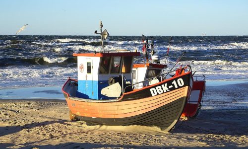 Boddenküste Darß Kraniche 2023 Strandküste mit Boot