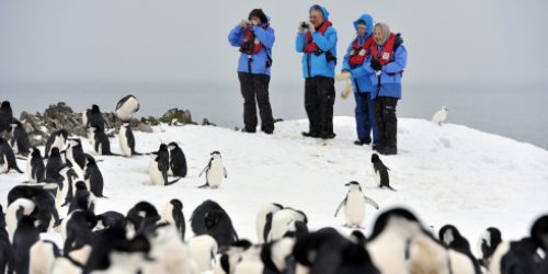 Antarktis Pinguine Expedition