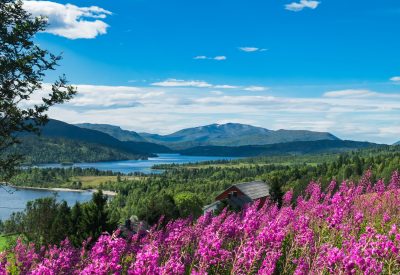 Frühling in Nordnorwegen