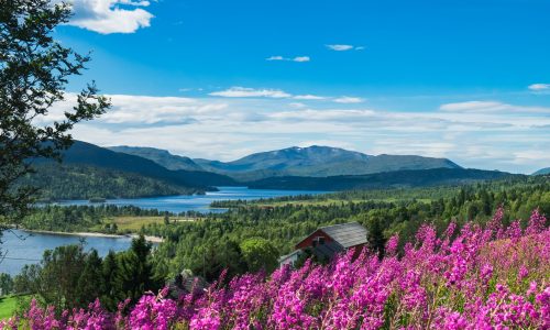 Frühling in Nordnorwegen