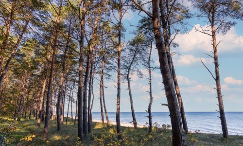 Usedom 2027
