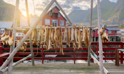 Kabeljau Lofoten, Stockfisch Norwegen