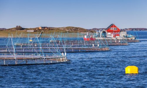 Norwegen Hurtigruten Fisch-Hütte